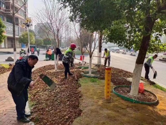 東安：街道綠化管護正當時