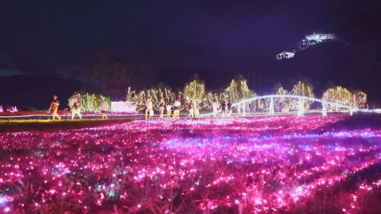 南溪花海景區(qū)夜間燈光秀,。唐游光 攝